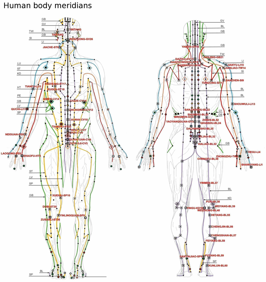 traditonal naturopath natural-health-sciences-arizona-electro-dermal-screening