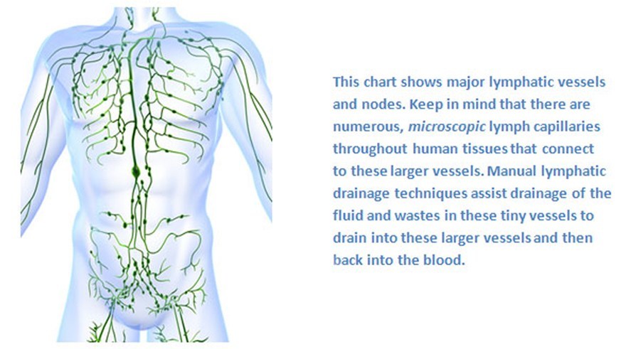 Lymphatic Drainage