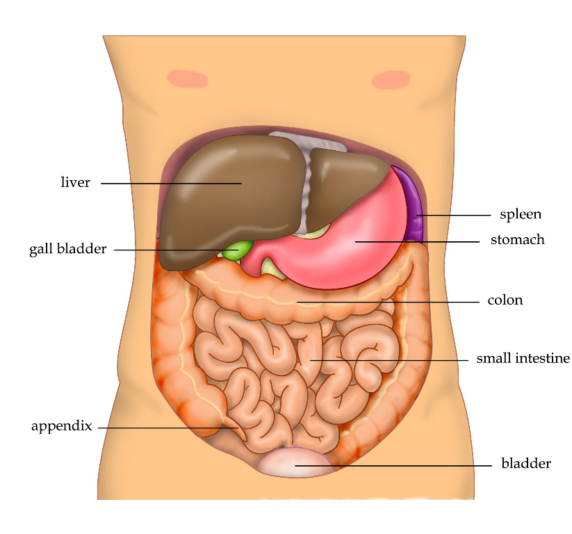 nhsoa-heavy-metal-poisoning-abdomen-1