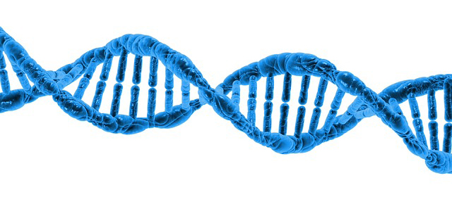 Oxygen Therapies the mitochondria DNA