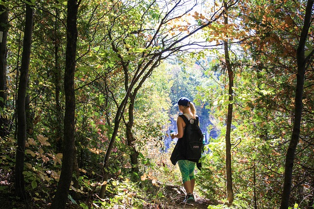 lyme-disease-prescott-az-adventure-forest