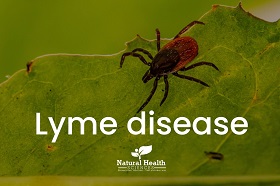 Lyme Disease therapy clinic in Nevada